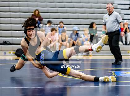 Thumbnail 1 in Niwot vs Timnath  photogallery.