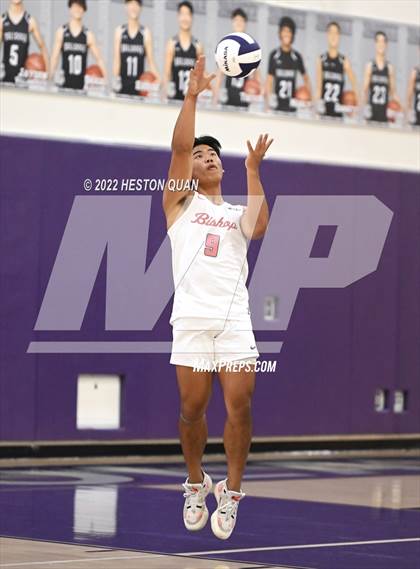 Thumbnail 2 in Bishop Diego @ Portola (CIF-SS D4 Playoffs) photogallery.