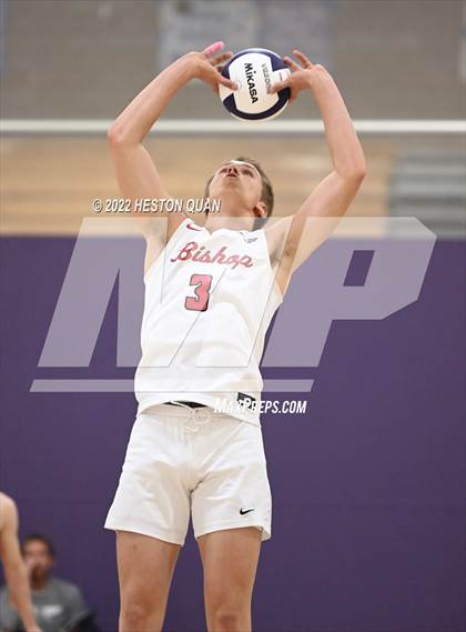 Thumbnail 3 in Bishop Diego @ Portola (CIF-SS D4 Playoffs) photogallery.