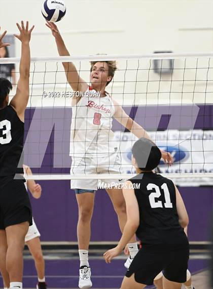 Thumbnail 1 in Bishop Diego @ Portola (CIF-SS D4 Playoffs) photogallery.