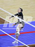 Photo from the gallery "Centauri vs. Valley"