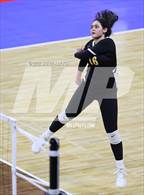 Photo from the gallery "Centauri vs. Valley"