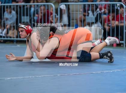 Thumbnail 2 in OIA Wrestling Championships photogallery.