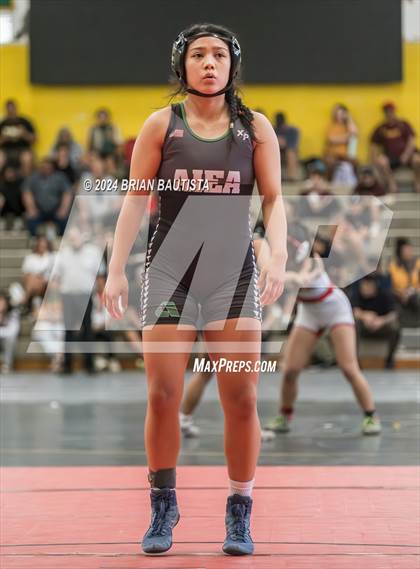 Thumbnail 3 in OIA Wrestling Championships photogallery.