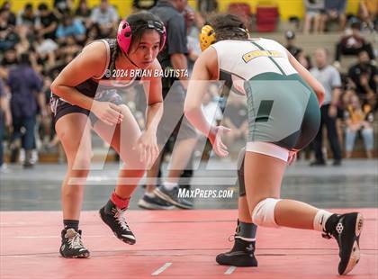 Thumbnail 3 in OIA Wrestling Championships photogallery.