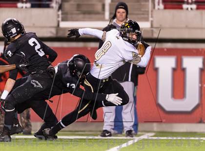 Thumbnail 1 in Desert Hills vs. Pine View (UHSAA 3AA Final) photogallery.