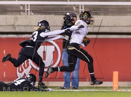 Thumbnail 1 in Desert Hills vs. Pine View (UHSAA 3AA Final) photogallery.