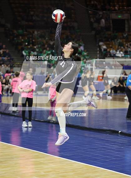 Thumbnail 1 in Stargate School vs. Village (CHSAA 3A First Round) photogallery.