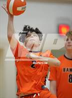 Photo from the gallery "Hayfield @ Annandale"