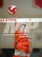 Photo from the gallery "Hayfield @ Annandale"