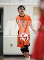 Photo from the gallery "Hayfield @ Annandale"