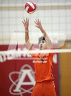 Photo from the gallery "Hayfield @ Annandale"