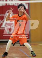 Photo from the gallery "Hayfield @ Annandale"