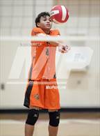 Photo from the gallery "Hayfield @ Annandale"