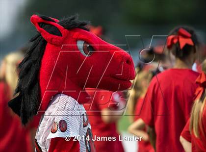 Thumbnail 3 in Mansfield Summit @ Mansfield Legacy photogallery.