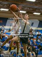 Photo from the gallery "Newington @ Bloomfield"
