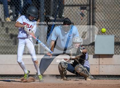 Thumbnail 1 in Loveland vs. Cherokee Trail (CHSAA 5A Semifinal Playoff) photogallery.