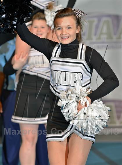 Thumbnail 1 in PIAA Competitive Spirit Championships (Small Squad Prelims) photogallery.