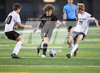 Thumbnail 2 in Wando vs. Carolina Forest photogallery.