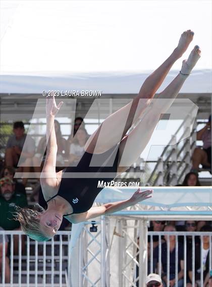 Thumbnail 3 in CIF State Diving Finals photogallery.
