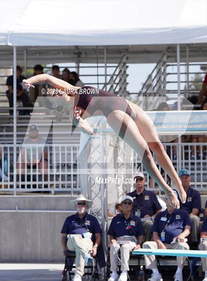 Thumbnail 1 in CIF State Diving Finals photogallery.