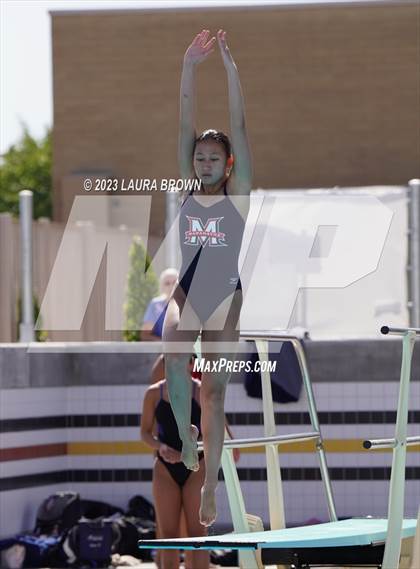 Thumbnail 3 in CIF State Diving Finals photogallery.
