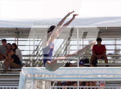 Thumbnail 3 in CIF State Diving Finals photogallery.
