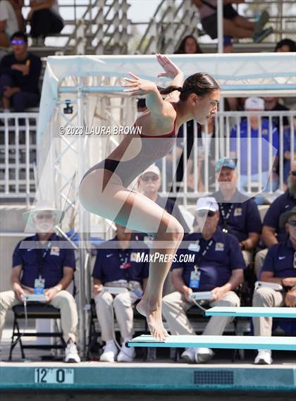 Thumbnail 3 in CIF State Diving Finals photogallery.