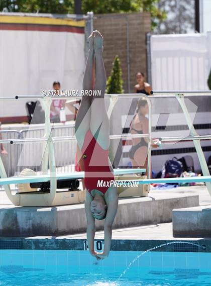Thumbnail 1 in CIF State Diving Finals photogallery.