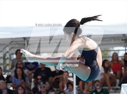 Thumbnail 1 in CIF State Diving Finals photogallery.