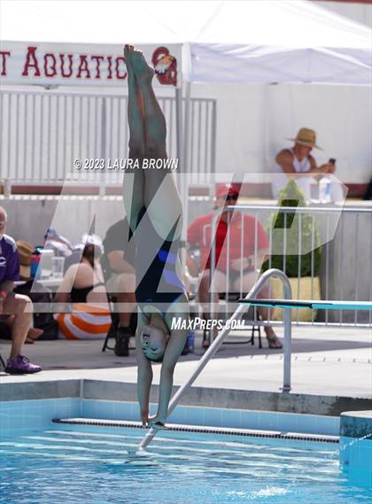 Thumbnail 1 in CIF State Diving Finals photogallery.