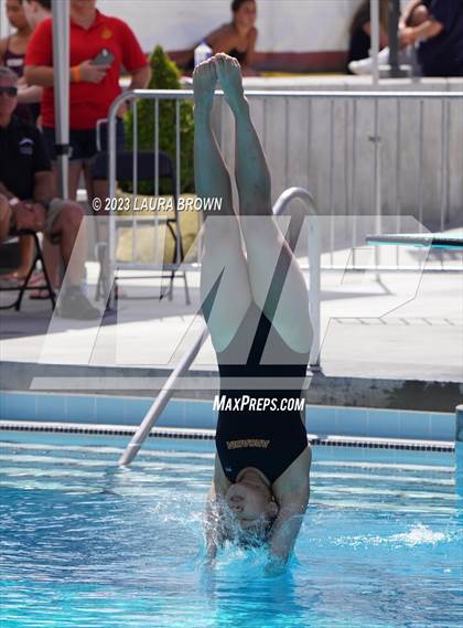 Thumbnail 1 in CIF State Diving Finals photogallery.
