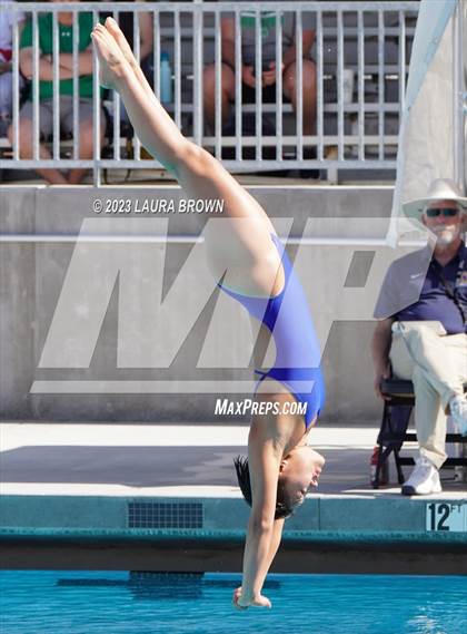 Thumbnail 2 in CIF State Diving Finals photogallery.