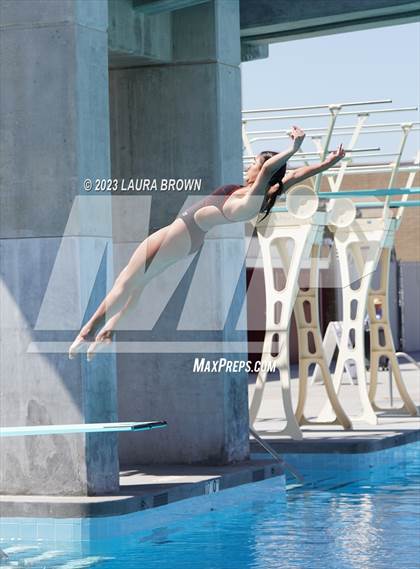 Thumbnail 1 in CIF State Diving Finals photogallery.