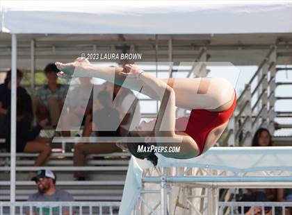 Thumbnail 1 in CIF State Diving Finals photogallery.