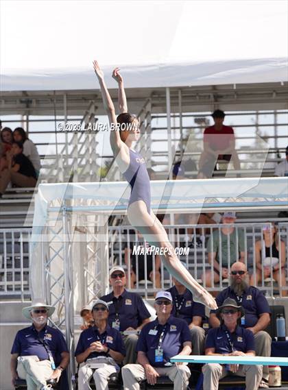 Thumbnail 3 in CIF State Diving Finals photogallery.