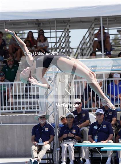 Thumbnail 2 in CIF State Diving Finals photogallery.
