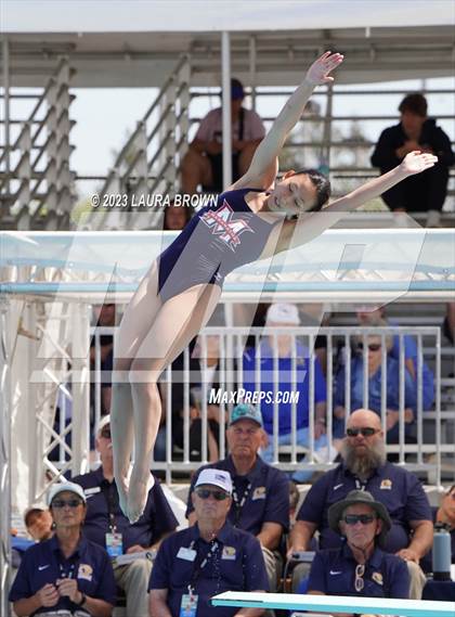 Thumbnail 2 in CIF State Diving Finals photogallery.