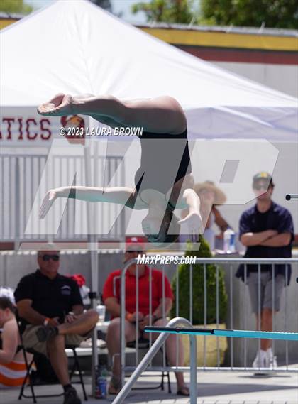 Thumbnail 2 in CIF State Diving Finals photogallery.