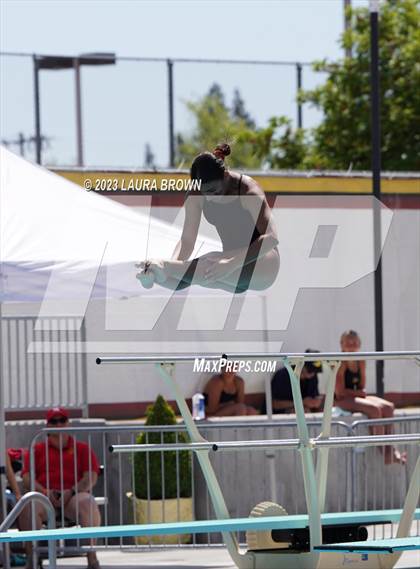 Thumbnail 1 in CIF State Diving Finals photogallery.