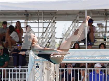Thumbnail 2 in CIF State Diving Finals photogallery.