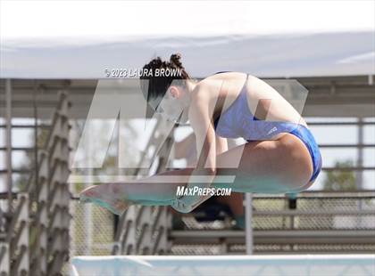 Thumbnail 1 in CIF State Diving Finals photogallery.