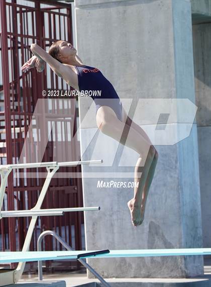 Thumbnail 2 in CIF State Diving Finals photogallery.