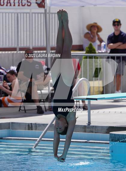 Thumbnail 3 in CIF State Diving Finals photogallery.