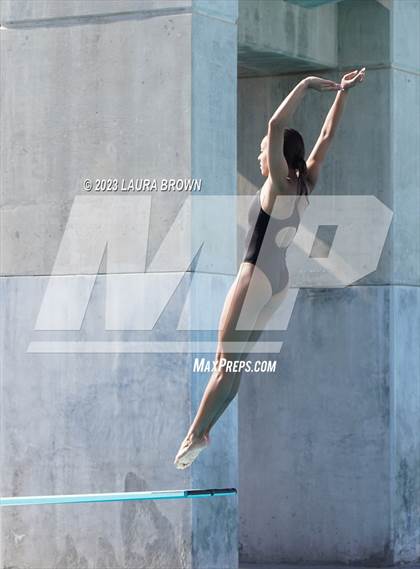Thumbnail 1 in CIF State Diving Finals photogallery.