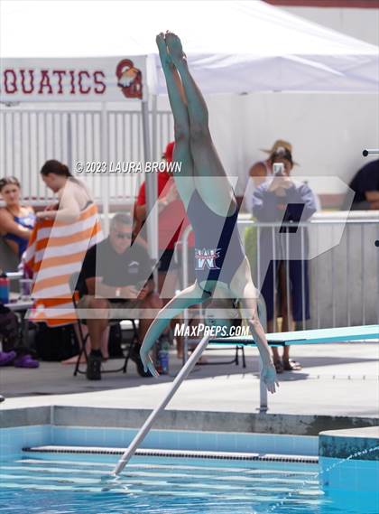 Thumbnail 3 in CIF State Diving Finals photogallery.