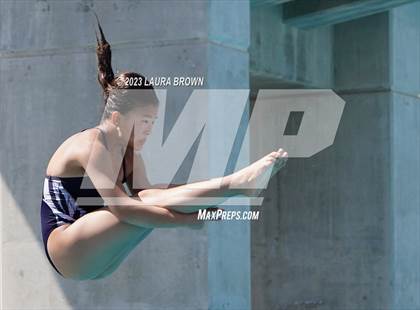 Thumbnail 3 in CIF State Diving Finals photogallery.