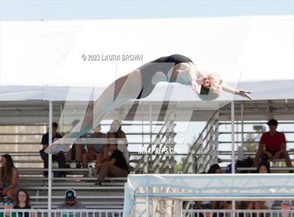 Thumbnail 2 in CIF State Diving Finals photogallery.