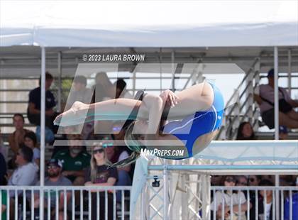 Thumbnail 3 in CIF State Diving Finals photogallery.
