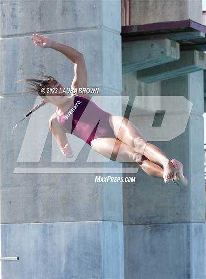 Thumbnail 2 in CIF State Diving Finals photogallery.